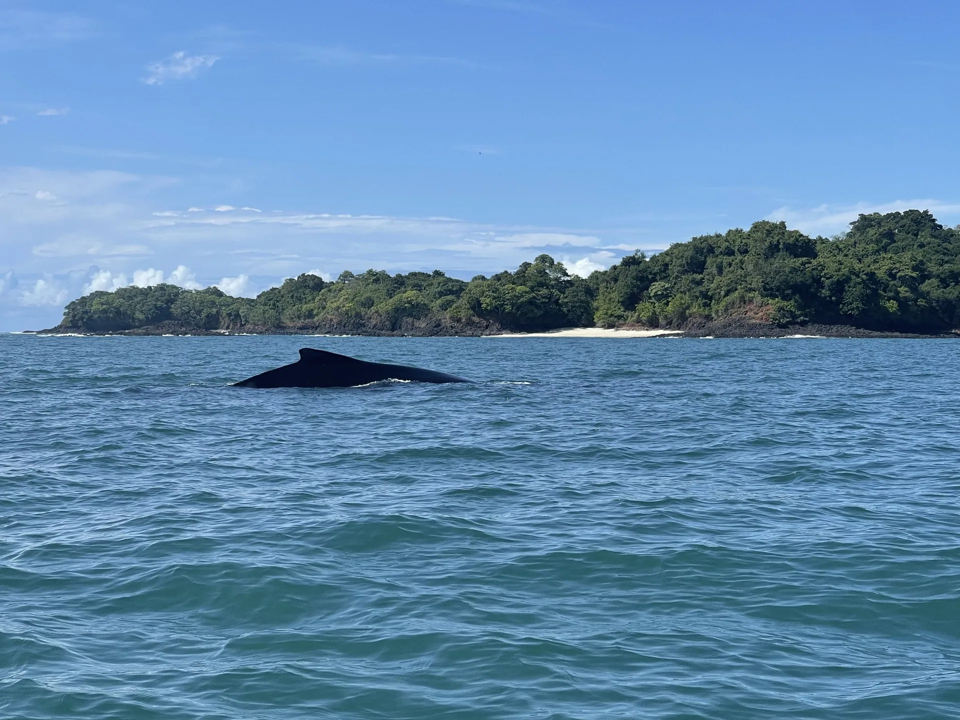 Islands of the Gulf of Chiriquí from the water, Pacific Panama